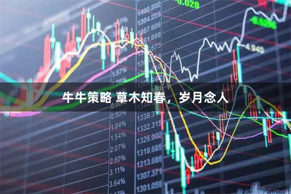 牛牛策略 草木知春，岁月念人